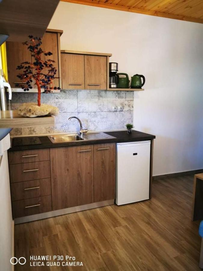Ktima Mimoza Apartment Sykia Chalkidikis Exterior photo